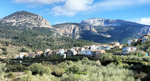 Alcolecha