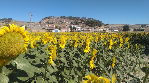Ayuntamiento de Castroverde de Cerrato Centralita