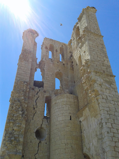 Tamariz de Campos