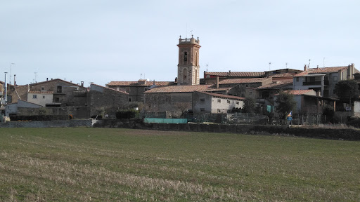 Collsuspina