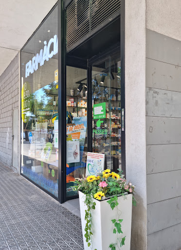 Farmacia