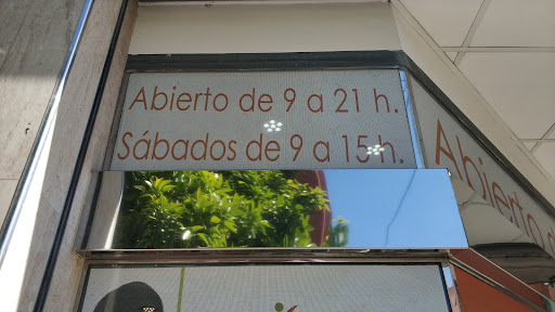 Morales Domenech, Concepción