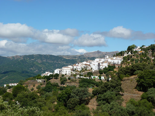 Jubrique