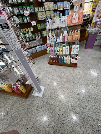 Quilis Arocas Rosa María